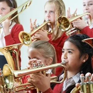 Intermediate Band